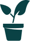 Area Focus Icon